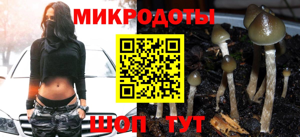 Псилоцибиновые грибы Cubensis  Галлюциногенные грибы мухоморы  Вход с VPN  купить закладку  Холмск 